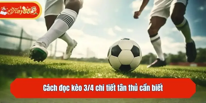 Cách đọc kèo 3/4 chi tiết tân thủ cần biết