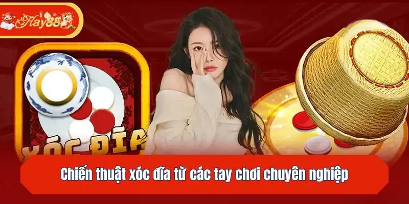 Chiến thuật xóc đĩa từ các tay chơi chuyên nghiệp