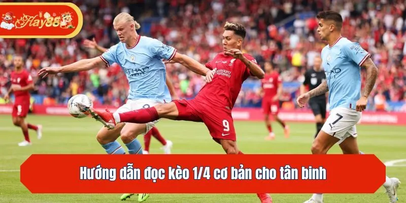 Hướng dẫn đọc kèo 1/4 cơ bản cho tân binh