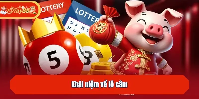Khái niệm về lô câm